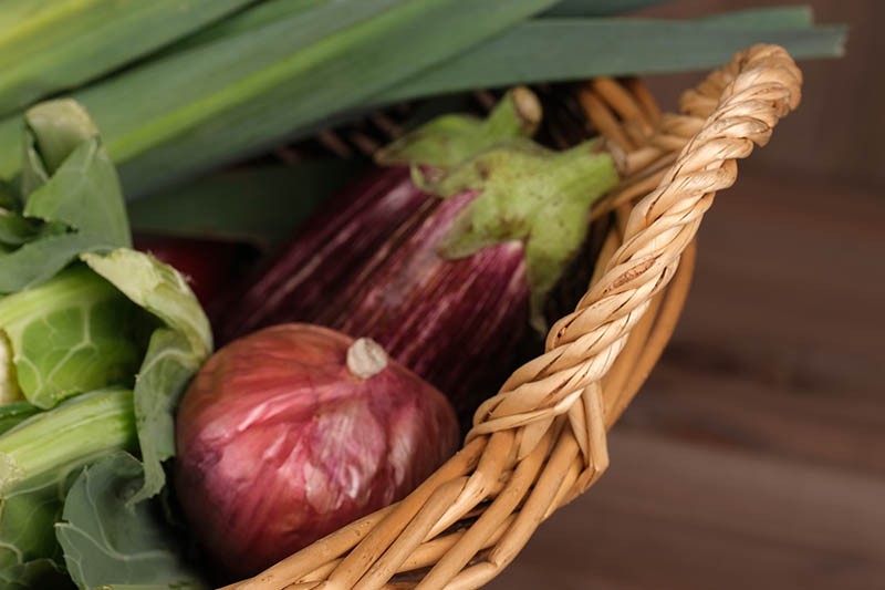 Corbeille osier Turbo Brut Ø60 BOIS OSIER | 20 Unité(s)