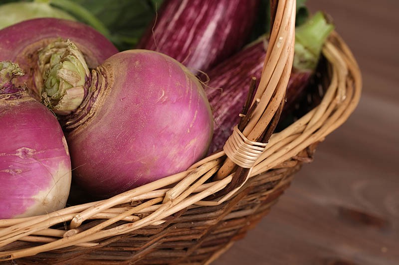 Fruitière osier brut Glanne MARRON OSIER | 25 Unité(s)