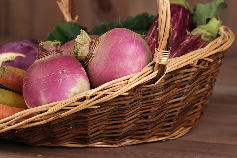 Fruitière osier brut Glanne MARRON OSIER | 25 Unité(s)