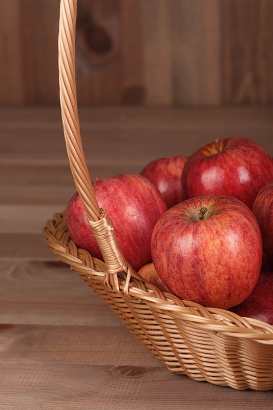 Fruitière Polypropylène Mangue MIEL POLYPROPYLENE | 4 Unité(s)