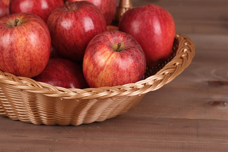 Fruitière Polypropylène Mangue MIEL POLYPROPYLENE | 4 Unité(s)