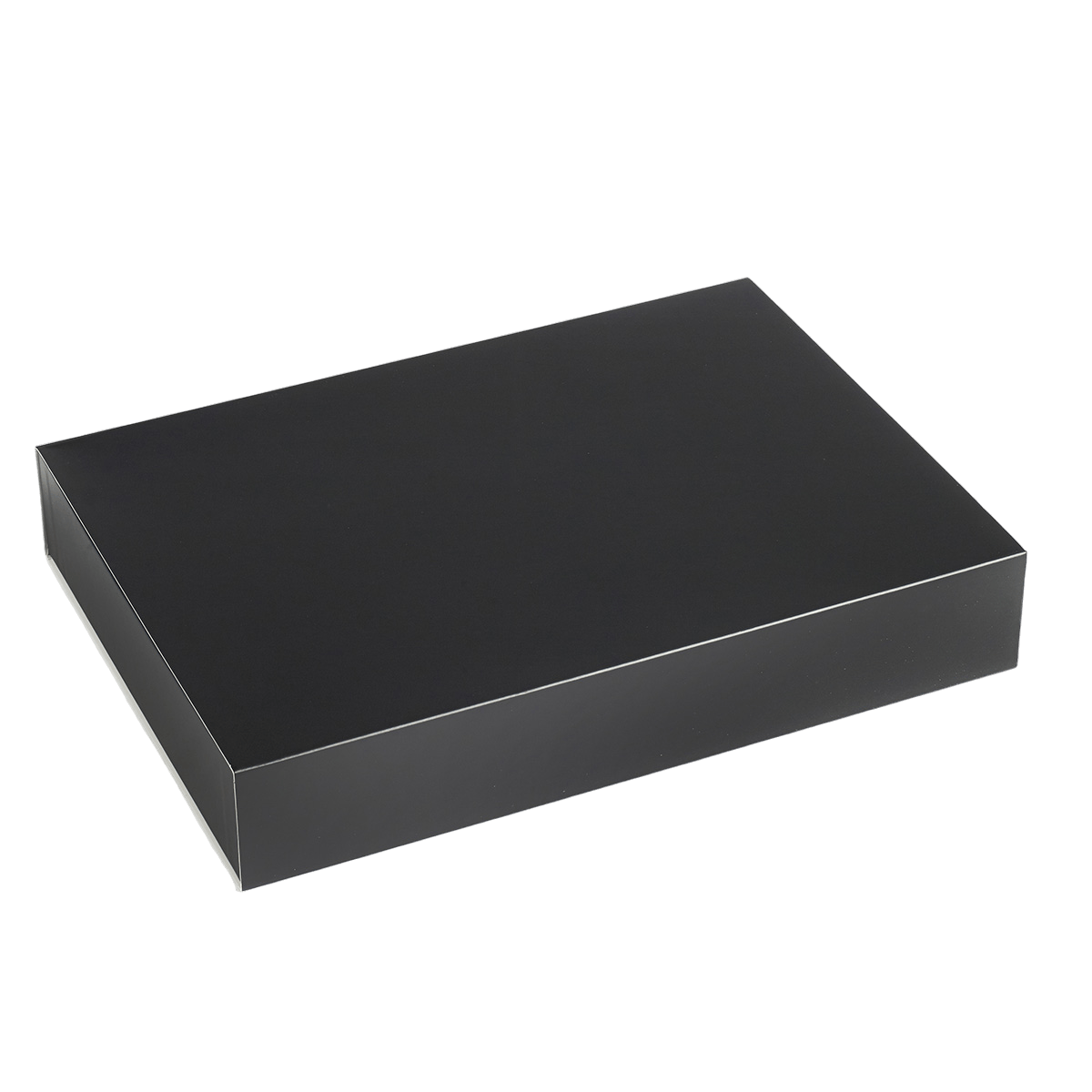 Plateau Surface XL 375x275x60 mm | 16 Unité(s)