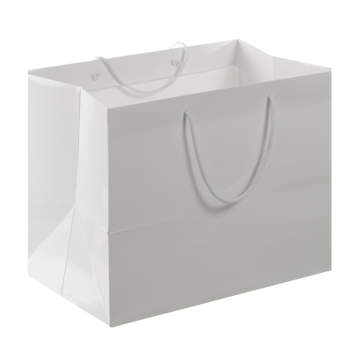 Sac en papier verni | 50 Unité(s)