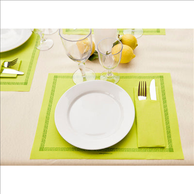 ASSIETTES PLATES Ø 24 CM BLANC PORCELAINE (48 UNITÉS)