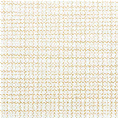 "TÊTE-À-TÊTE" PRE. 120 'ELEGANCE' 60 G/M2 0,40x12 M BLANC AIRLAID (6 UNITÉS)