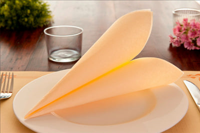 SETS DE TABLE 48 G/M2 31x43 CM IVOIRE CELLULOSE (2000 UNITÉS)