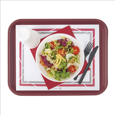 SETS DE TABLE POUR PLATEAUX 'SELF-SERVICE' 48 G/M2 25x31 CM BLANC PAPIER (2000 UNITÉS)