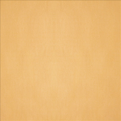 NAPPES PLIAGE M 48 G/M2 120x120 CM IVOIRE CELLULOSE (200 UNITÉS)
