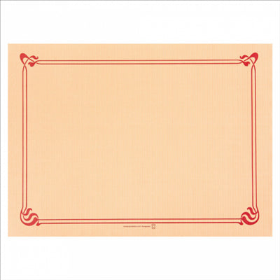 SETS DE TABLE 48 G/M2 31x43 CM IVOIRE CELLULOSE (2000 UNITÉS)