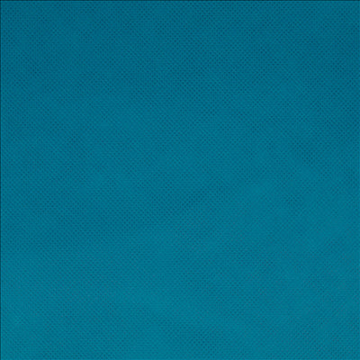 NAPPE PRÉ-DÉCOUPÉE 120 CM 'SPUNBOND' 60 G/M2 1,20x50,4 M TURQUOISE PP (1 UNITÉ)