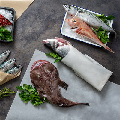 PAPIER ALIMENTAIRE INGRAISSABLE CIRÉ 2 FACES PFAS FREE 10+60+10 G/M2 38x54 CM BLANC CELLULOSE + CIRE VÉGÉTALE (20 UNITÉS)