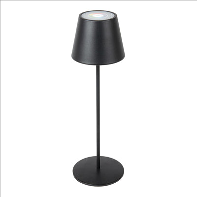 LAMPE LED SANS FIL + VARIATEUR 4000 mAH Ø 12x38 CM NOIR METAL (1 UNITÉ)