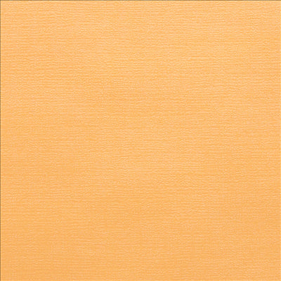 NAPPES PLIAGE M 48 G/M2 100x100 CM IVOIRE CELLULOSE (200 UNITÉS)