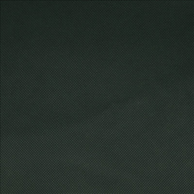 NAPPE PRÉ-DÉCOUPÉE 120 CM 'SPUNBOND' 60 G/M2 1,20x50,4 M VERT JAGUAR PP (1 UNITÉ)