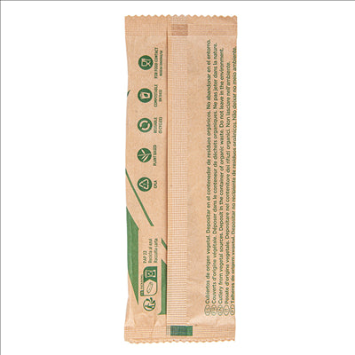 PETITES CUILLÈRES À GLACES EN SACHET 10 CM BLANC CPLA (500 UNITÉS)