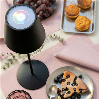 LAMPE LED SANS FIL + VARIATEUR 4000 mAH Ø 12x38 CM NOIR METAL (1 UNITÉ)