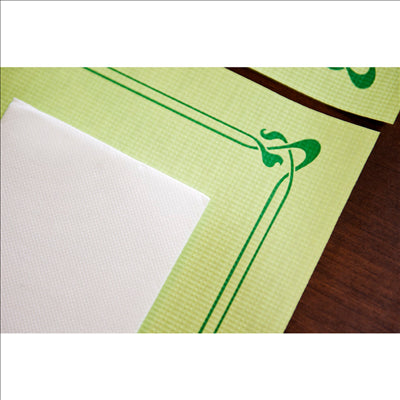 SETS DE TABLE 48 G/M2 31x43 CM VERT ANIS CELLULOSE (2000 UNITÉS)