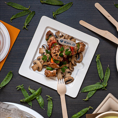 ASSIETTES CARRÉES 'BIONIC' 20x20x1 CM BLANC BAGASSE (200 UNITÉS)