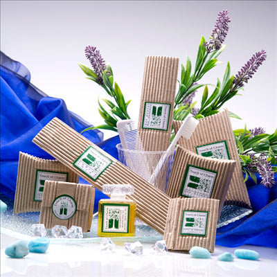 PEIGNES, ÉTUI RECYCLÉ 13,3x2,7x0,3 CM BLANC PS (100 UNITÉS)