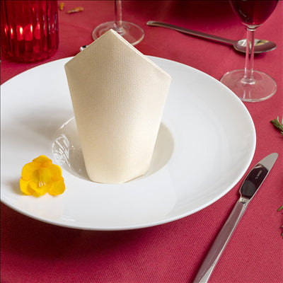 NAPPE EN ROULEAU 55 G/M2 1,20x50 M BORDEAUX AIRLAID (1 UNITÉ)