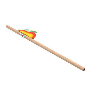 PAILLES "FRUITS" Ø0,60x23 CM NATUREL KRAFT (100 UNITÉS)