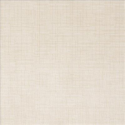 "TÊTE-À-TÊTE" PRÉ. 120CM (20 FEU.) 'DRY COTTON' 55 G/M2 0,40x24 M SABLE AIRLAID (6 UNITÉS)