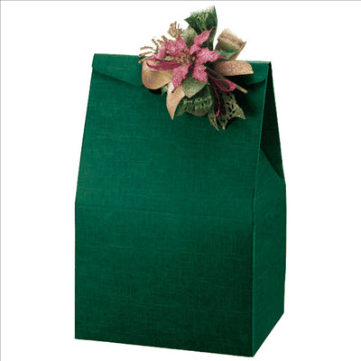 50 U. SACS 28x20x41 CM VERT CARTON (1 UNITÉ)