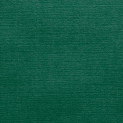 NAPPES PLIAGE M 48 G/M2 100x100 CM VERT JAGUAR CELLULOSE (200 UNITÉS)