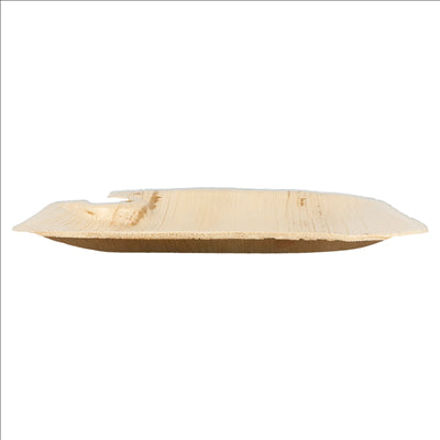 PLATEAUX AVEC PORTE-COUPES 'ARECA'  21x21x1,5 CM NATUREL ARECA (100 UNITÉS)