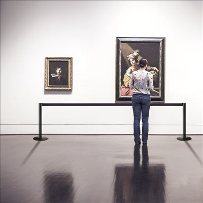 COLONNES MOBILES AVEC RUBAN RETRACTIBLES Ø 36x104 CM NOIR ALUMINIUM (2 UNITÉS)