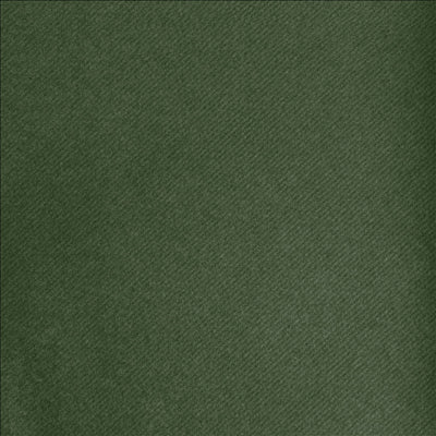 NAPPE EN ROULEAU 55 G/M2 1,20x50 M VERT JAGUAR AIRLAID (1 UNITÉ)