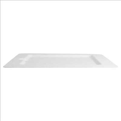 ASSIETTES CARRÉES 'BIONIC' 20x20x1 CM BLANC BAGASSE (200 UNITÉS)