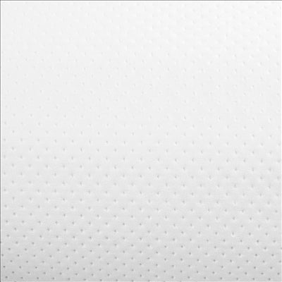 ESSUIE-MAINS "MINI-BARRIL" ECOLABEL 1 PLI - 300 FEUILLES 22 G/M2 Ø 13x20 CM BLANC OUATE (12 UNITÉS)