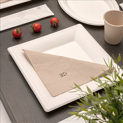 ASSIETTES CARRÉES 'BIONIC' 20x20x1,5 CM BLANC BAGASSE (500 UNITÉS)