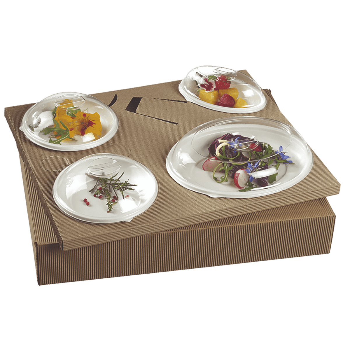Kit plateau-repas Polaris vaisselle Galaxie blanche + couvercle | 25 Unité(s)