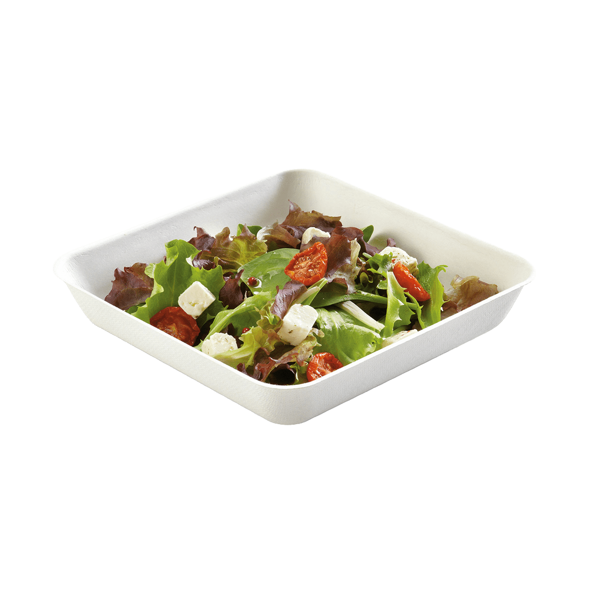Assiette carrée pulpe de canne 192x192x35 mm | 500 Unité(s)