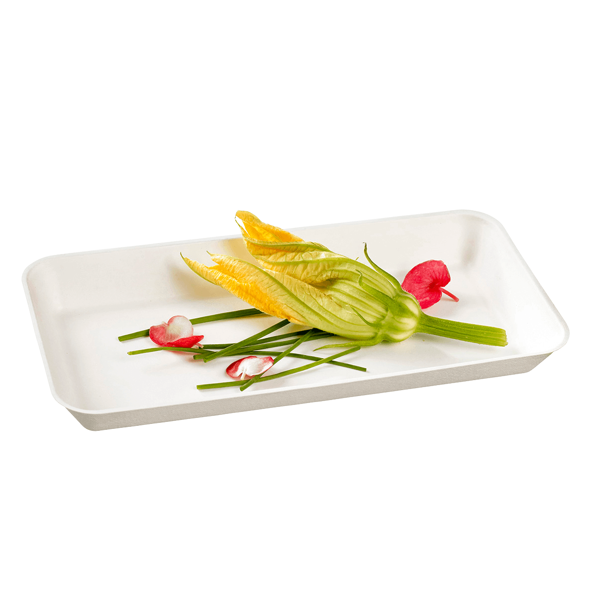 Assiette Kanopée pulpe de canne 200x100 mm | 600 Unité(s)