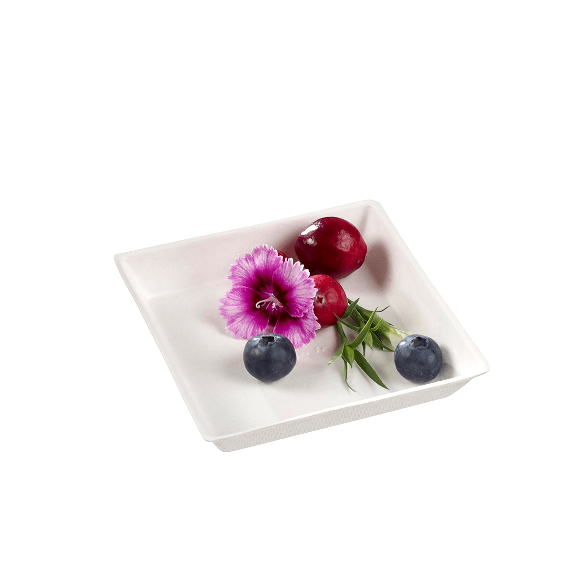 Assiette Quartz pulpe de canne 90x90 mm | 400 Unité(s)