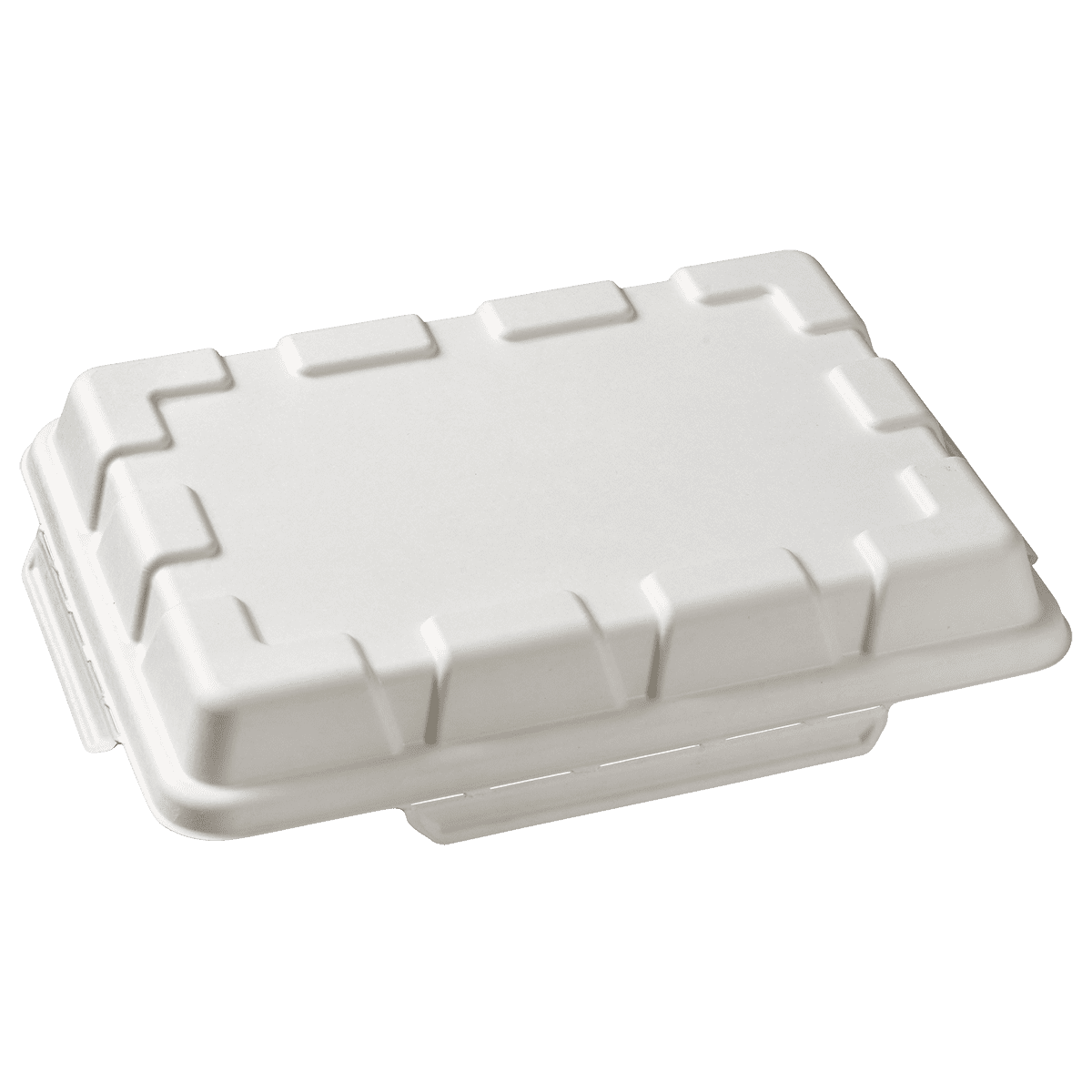 Couvercle pulpe de canne pour plateau 5 alvéoles | 150 Unité(s)