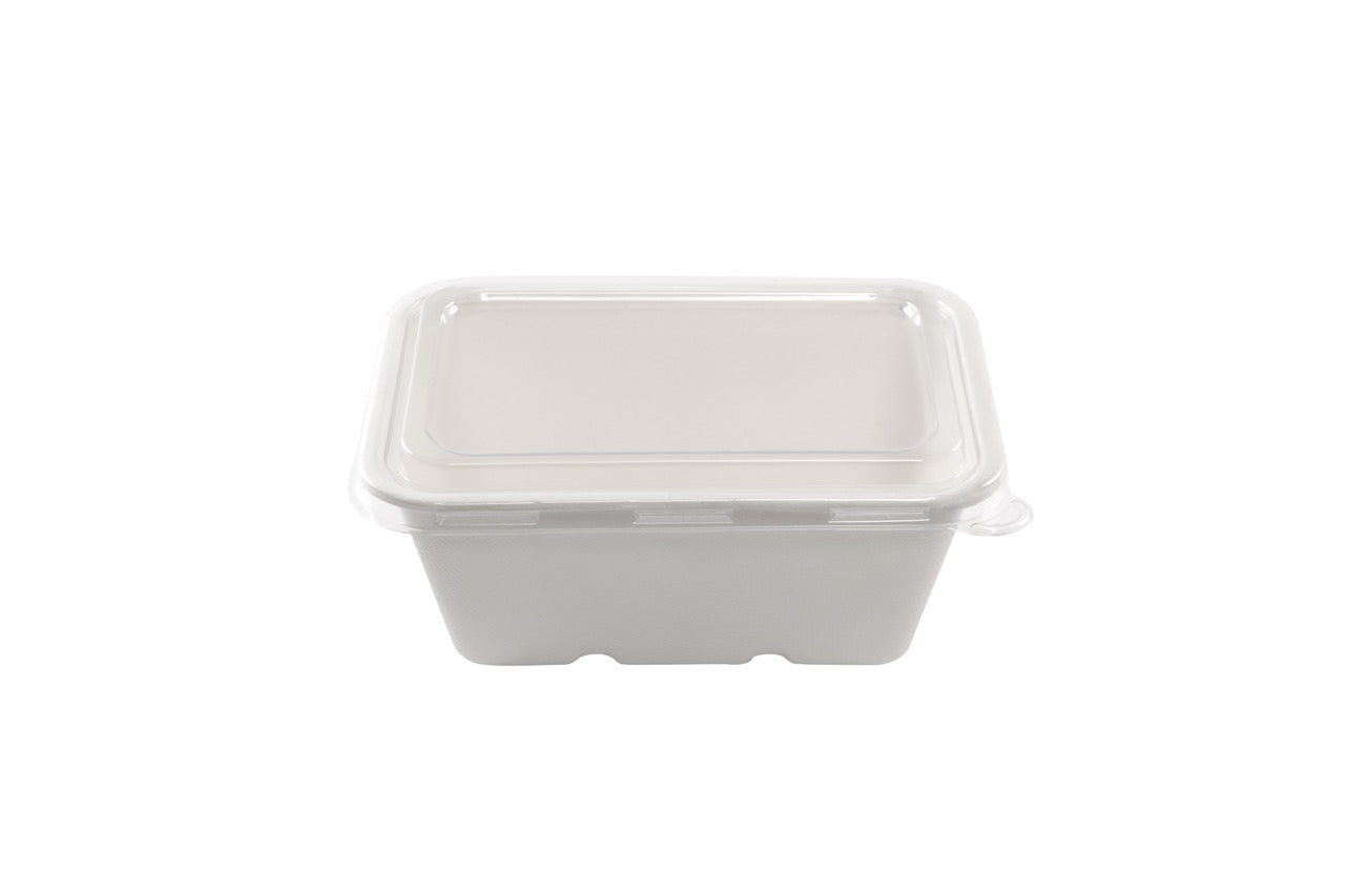 Barquette rectangulaire blanche en canne à sucre 1000 ml - 500 unités