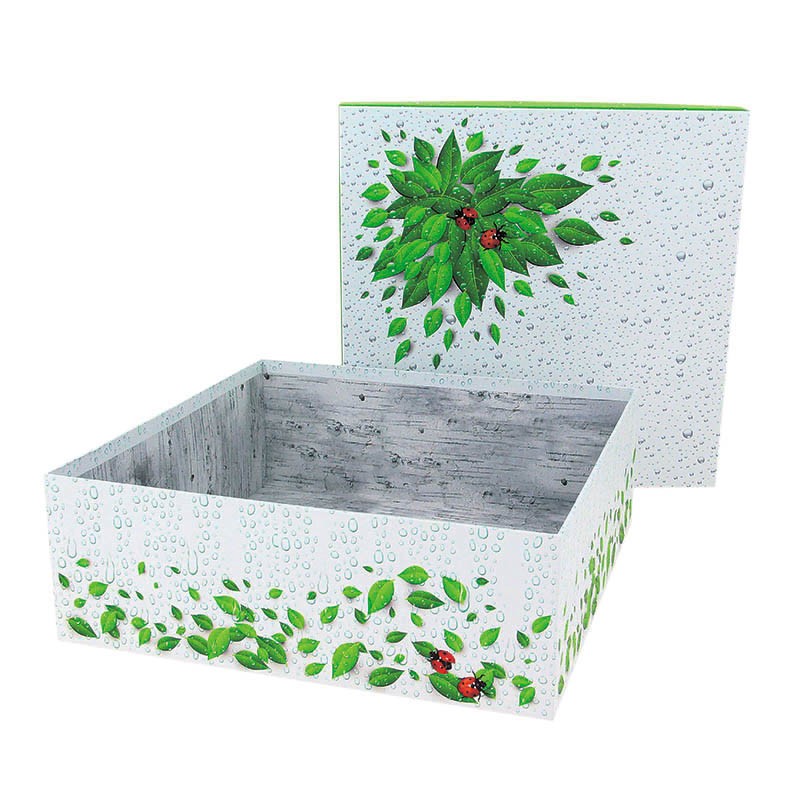 Boite carton carrée natura 34x34 BLANC CARTON ｜ 8 Unité(s)