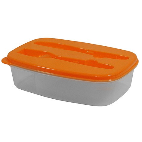 LUNCH RECTANGLE 3 COULEURS 23X16X6 MULTICOLORE PLASTIQUE ｜ 24 Unité(s)