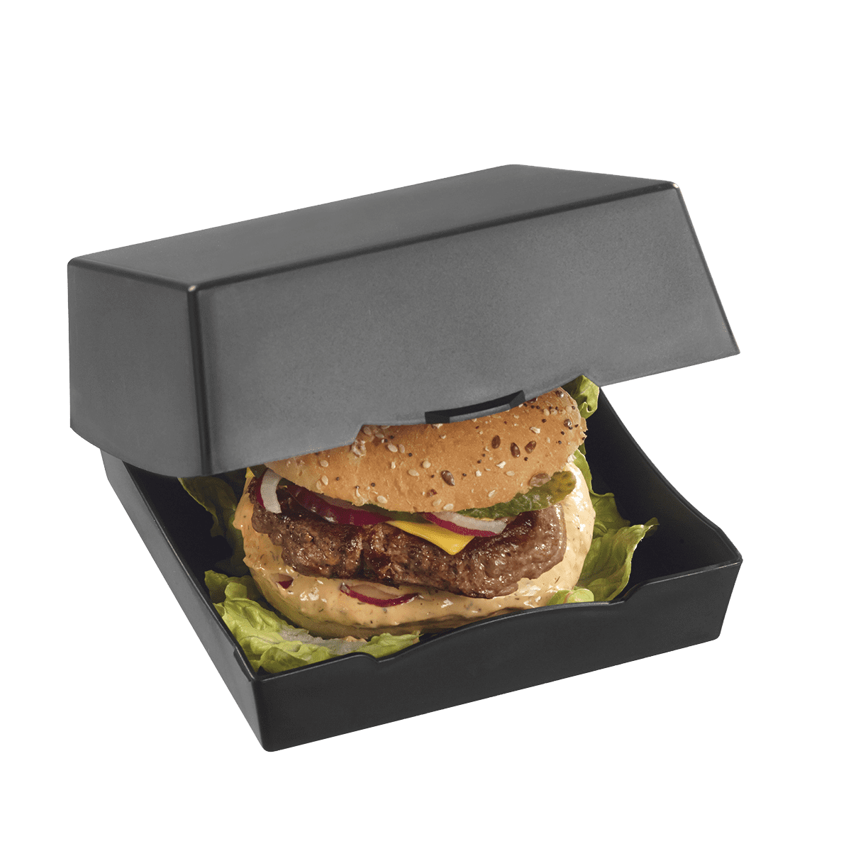 Boîte burger LOOP + couvercle PP 169x171 mm ｜ 60 Unité(s)