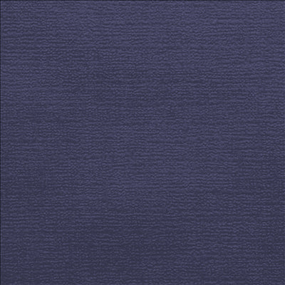 NAPPES PLIAGE M  48 G/M2 100x100 CM BLEU MARINE CELLULOSE (200 UNITÉS)