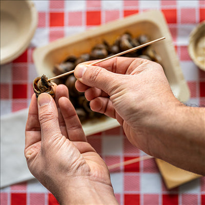 PIQUES POUR ESCARGOTS SOUS SACHET  15 (h) CM NATUREL BOIS (1000 UNITÉS)