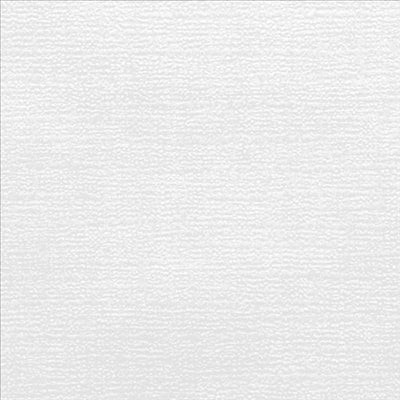 NAPPES PLIAGE M  48 G/M2 100x100 CM BLANC CELLULOSE (200 UNITÉS)