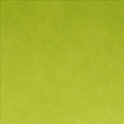 NAPPE PRÉ-DÉCOUPÉE 120 CM 'SPUNBOND' 60 G/M2 1,20x50,4 M LIME PP (1 UNITÉ)