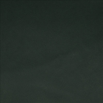 NAPPE 'SPUNBOND' 60 G/M2 1,20x50 M VERT JAGUAR PP (1 UNITÉ)