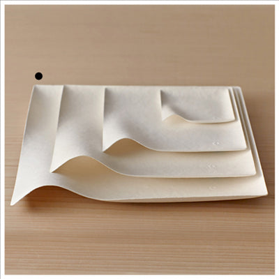 ASSIETTES KAKU XL 'BIONIC'  24,6x24,6x4 CM BLANC BAGASSE (100 UNITÉS)