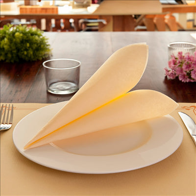 SERVIETTES ECOLABEL 'DOUBLE POINT' 18 G/M2 33x33 CM IVOIRE OUATE (1200 UNITÉS)